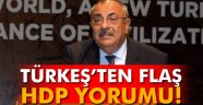 Türkeş'ten HDP yorumu...