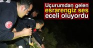 Uçurumdan gelen esrarengiz ses eceli oluyordu