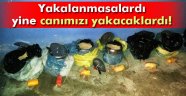 Van'da büyük miktarda patlayıcı bulundu