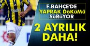 yaprak dökümü sürüyor: 2 ayrılık daha