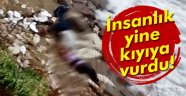 Yine İnsanlık kıyıya vurdu!